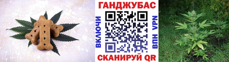 shop клад продажа наркотиков Александров Canna-Cookies марихуана
