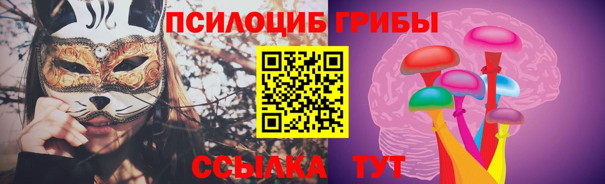 Псилоцибиновые грибы прущие грибы Александров